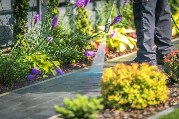 Berryville, VA  Pressure Washing Services Company