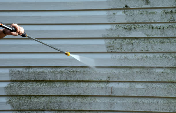 Best Driveway Pressure Washing  in Berryville, VA